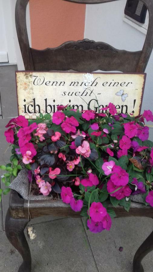 Fewo 2 Ferienwohnung Waren Mueritz - Haus Buchen Am Tiefwarensee - 2 Zi المظهر الخارجي الصورة